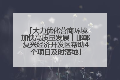 大力优化营商环境 加快高质量发展丨邯郸复兴经济开发区帮助4个项目及时落地
