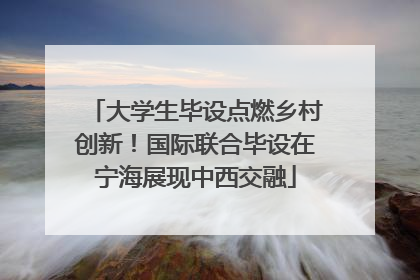 大学生毕设点燃乡村创新！国际联合毕设在宁海展现中西交融
