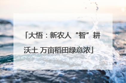 大悟：新农人“智”耕沃土 万亩稻田绿意浓