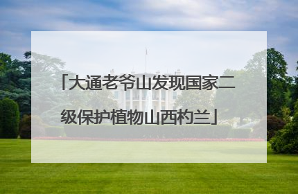 大通老爷山发现国家二级保护植物山西杓兰