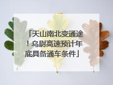 天山南北变通途！乌尉高速预计年底具备通车条件