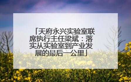 天府永兴实验室联席执行主任梁斌：落实从实验室到产业发展的最后一公里