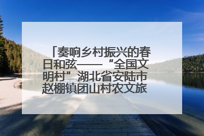 奏响乡村振兴的春日和弦——“全国文明村”湖北省安陆市赵棚镇团山村农文旅融合发展见闻