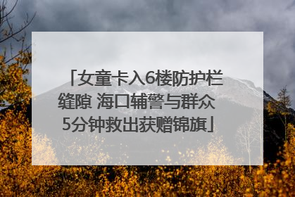 女童卡入6楼防护栏缝隙 海口辅警与群众5分钟救出获赠锦旗
