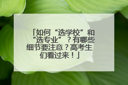 如何“选学校”和“选专业”？有哪些细节要注意？高考生们看过来！