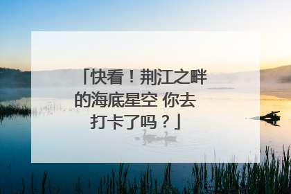 快看！荆江之畔的海底星空 你去打卡了吗？