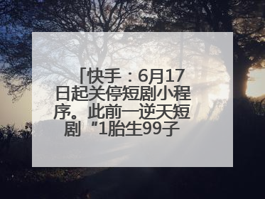 快手：6月17日起关停短剧小程序。此前一逆天短剧“1胎生99子”被全网下架