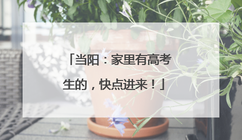 当阳：家里有高考生的，快点进来！
