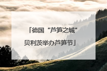 德国“芦笋之城”贝利茨举办芦笋节