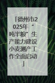 德州市2025年“吨半粮”生产能力建设小麦测产工作全面启动