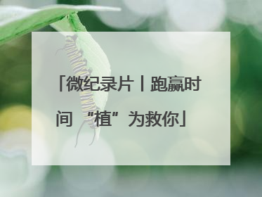 微纪录片丨跑赢时间 “植”为救你