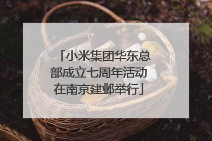 小米集团华东总部成立七周年活动在南京建邺举行