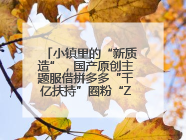 小镇里的“新质造”，国产原创主题服借拼多多“千亿扶持”圈粉“Z世代”