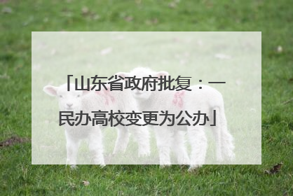 山东省政府批复：一民办高校变更为公办