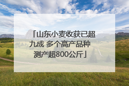 山东小麦收获已超九成 多个高产品种测产超800公斤