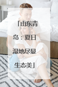 山东青岛：夏日湿地尽显生态美