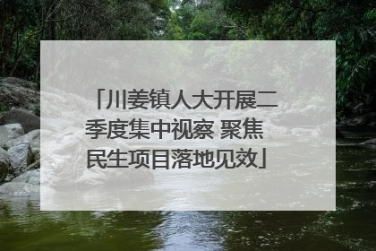 川姜镇人大开展二季度集中视察 聚焦民生项目落地见效