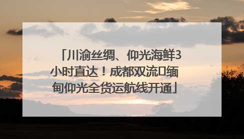 川渝丝绸、仰光海鲜3小时直达！成都双流⇌缅甸仰光全货运航线开通