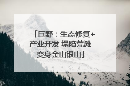 巨野：生态修复+产业开发 塌陷荒滩变身金山银山