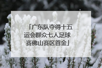 广东队夺得十五运会群众七人足球赛佛山赛区首金