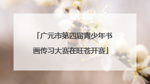 广元市第四届青少年书画传习大赛在旺苍开赛