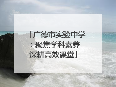 广德市实验中学：聚焦学科素养 深耕高效课堂