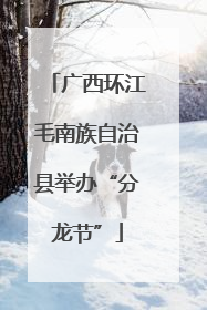 广西环江毛南族自治县举办“分龙节”