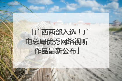 广西两部入选！广电总局优秀网络视听作品最新公布