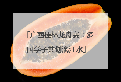 广西桂林龙舟赛：多国学子共划漓江水