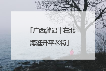 广西游记｜在北海逛升平老街