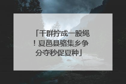 干群拧成一股绳！夏邑县骆集乡争分夺秒促夏种