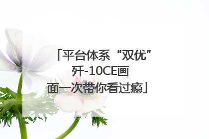 平台体系“双优”  歼-10CE画面一次带你看过瘾