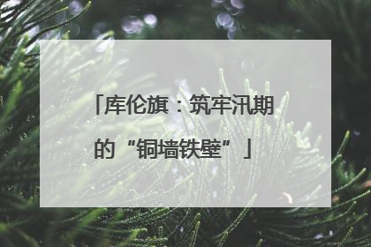 库伦旗：筑牢汛期的“铜墙铁壁”