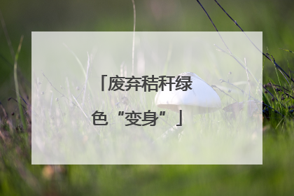 废弃秸秆绿色“变身”