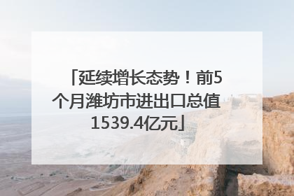 延续增长态势！前5个月潍坊市进出口总值1539.4亿元