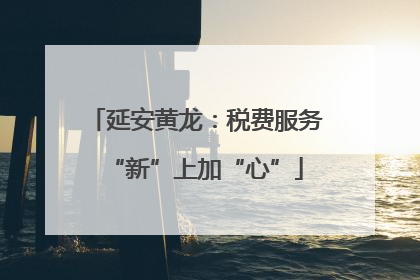 延安黄龙：税费服务“新”上加“心”