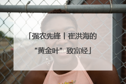强农先锋丨崔洪海的“黄金叶”致富经