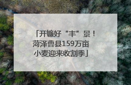 开镰好“丰”景！菏泽曹县159万亩小麦迎来收割季