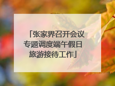 张家界召开会议专题调度端午假日旅游接待工作