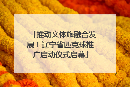 推动文体旅融合发展！辽宁省匹克球推广启动仪式启幕