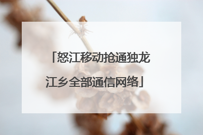 怒江移动抢通独龙江乡全部通信网络