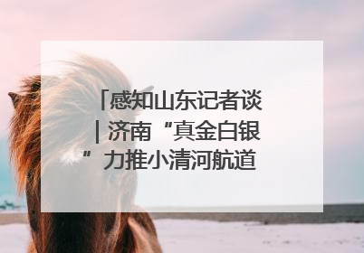感知山东记者谈｜济南“真金白银”力推小清河航道 黄金水道激活区域经济新动能