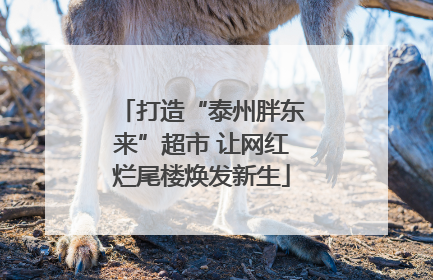 打造“泰州胖东来”超市 让网红烂尾楼焕发新生