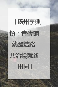 扬州李典镇：青砖铺就整洁路 共治绘就新田园