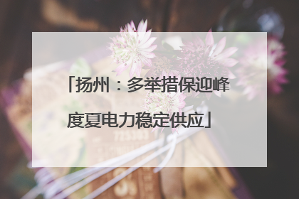 扬州：多举措保迎峰度夏电力稳定供应