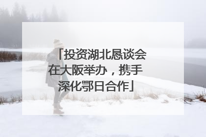 投资湖北恳谈会在大阪举办，携手深化鄂日合作