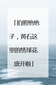 拍照绝绝子，黄石这里的绣球花盛开啦