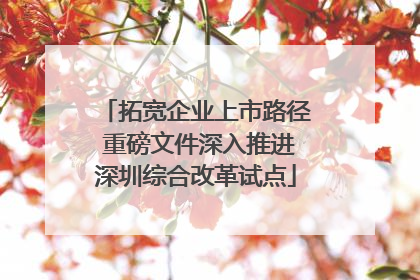 拓宽企业上市路径 重磅文件深入推进深圳综合改革试点