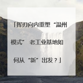 挥刃向内重塑“温州模式” 老工业基地如何从“新”出发？