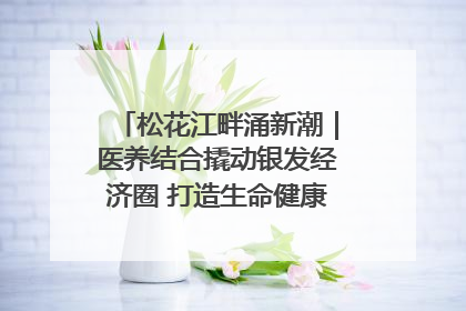 松花江畔涌新潮｜医养结合撬动银发经济圈 打造生命健康产业新样本